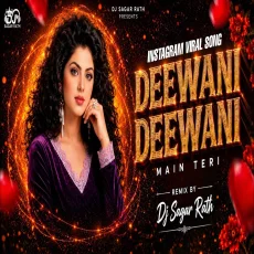 Deewani Deewani Main Teri (Club Mix)