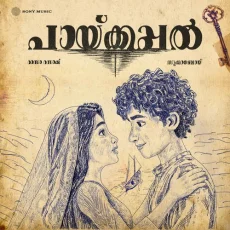 Paaykappal